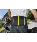 PROTECTOR GARIBALDI BELT ALONSO